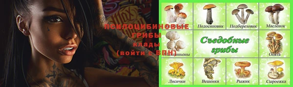 тгк Бронницы